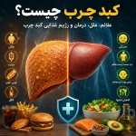 کبد چرب؛ قاتل خاموش یا بیماری قابل کنترل؟ (راهنمای جامع تشخیص، درمان و تغذیه)